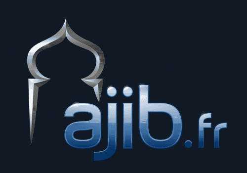 nouveau logo d'AJIB.fr